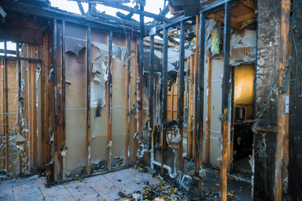 Professional Soot Cleanup technician working in North Kensington, MD
